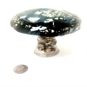 Semi-Precious Stone Mushroom - Jumbo