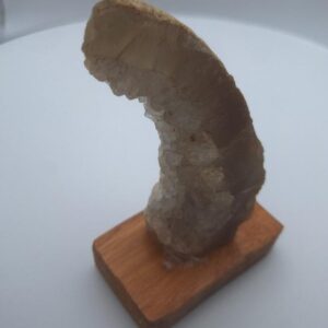 Brazilian Agate Geode on Wooden Base